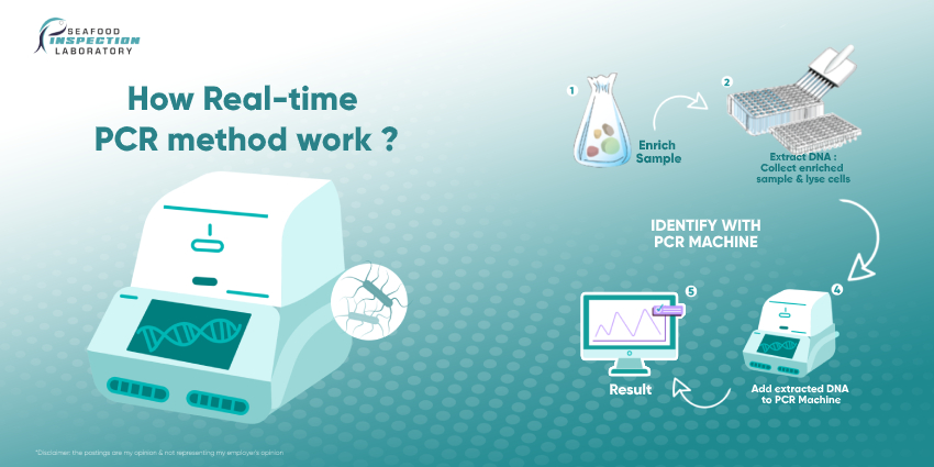 Pcr Test for food testing