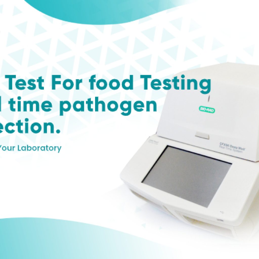 PCR Test for Food Testing